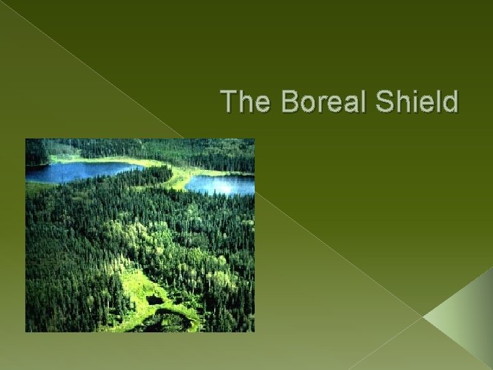 The Boreal Shield 