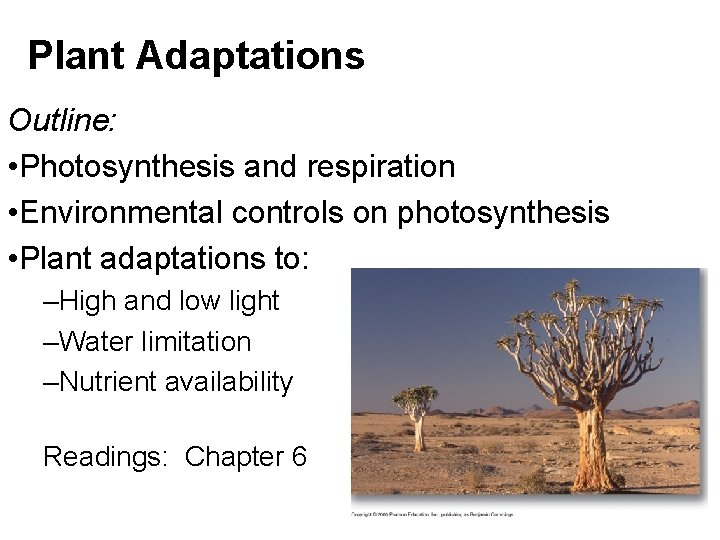 Plant Adaptations Outline: • Photosynthesis and respiration • Environmental controls on photosynthesis • Plant