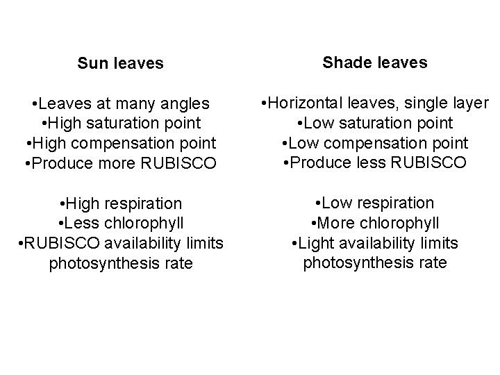 Sun leaves Shade leaves • Leaves at many angles • High saturation point •