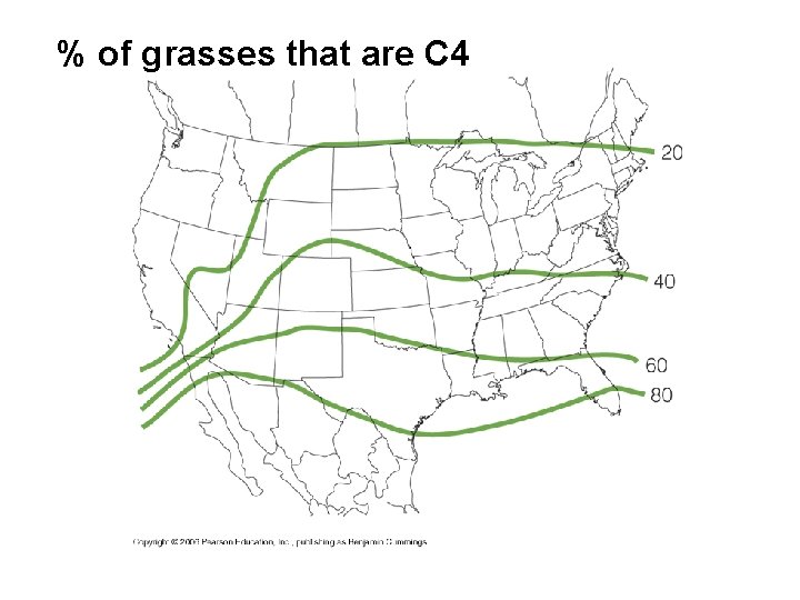 % of grasses that are C 4 