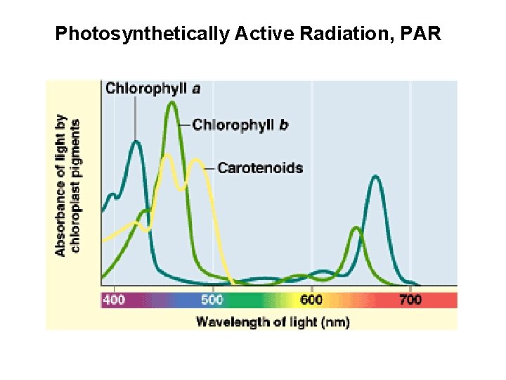 Photosynthetically Active Radiation, PAR 