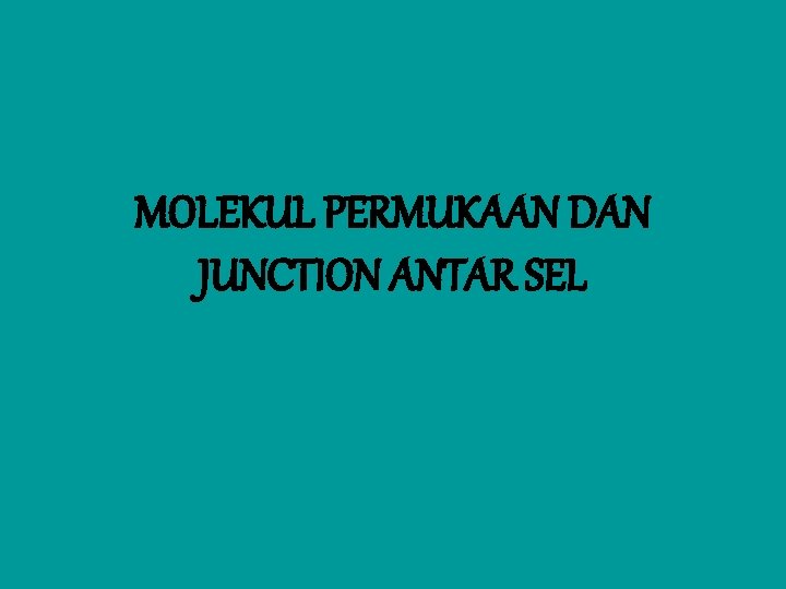 MOLEKUL PERMUKAAN DAN JUNCTION ANTAR SEL 