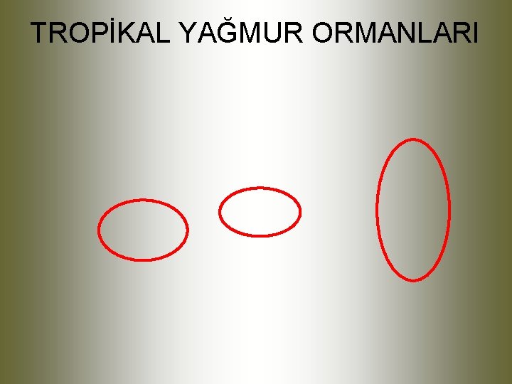 TROPİKAL YAĞMUR ORMANLARI 