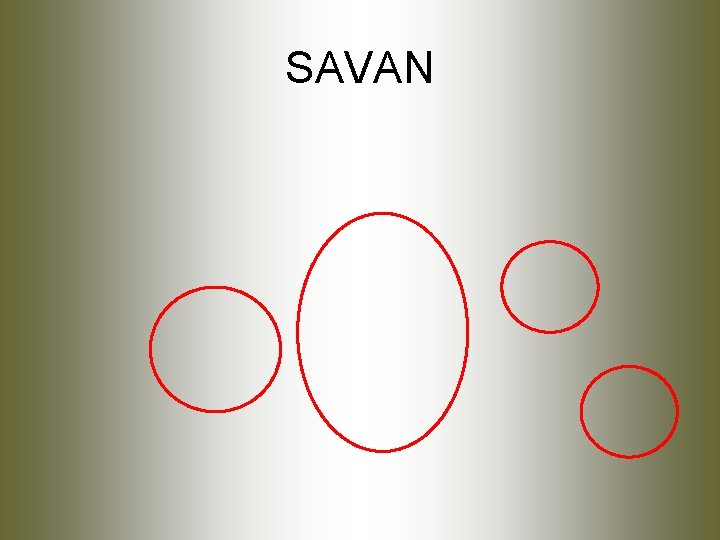 SAVAN 