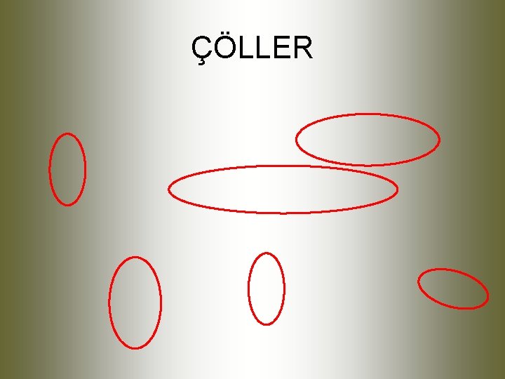 ÇÖLLER 