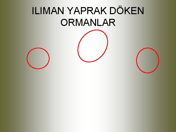 ILIMAN YAPRAK DÖKEN ORMANLAR 