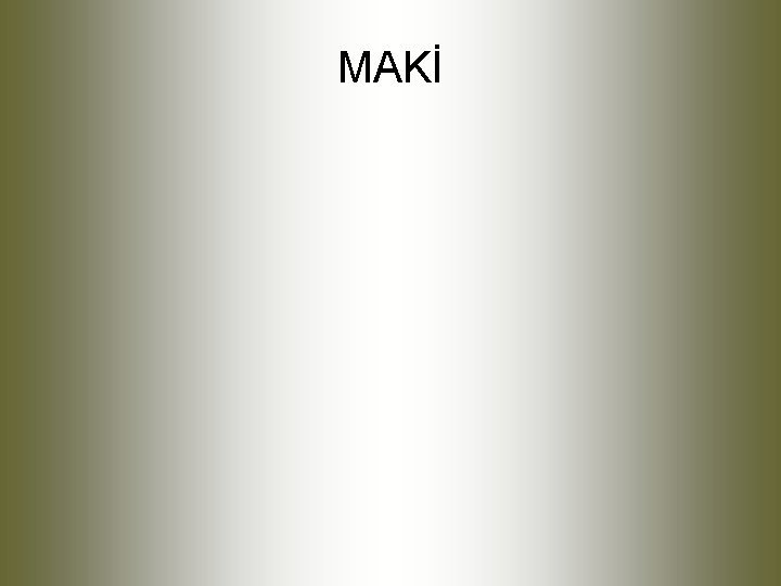 MAKİ 
