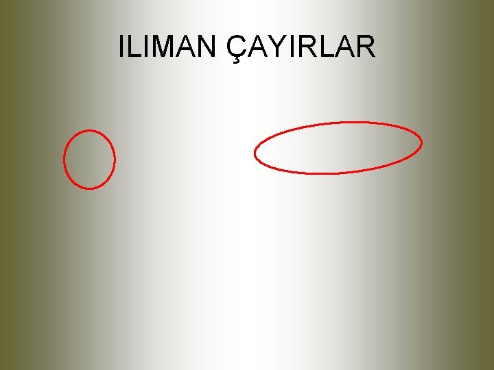 ILIMAN ÇAYIRLAR 