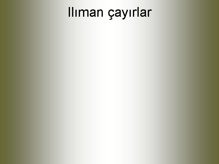 Ilıman çayırlar 
