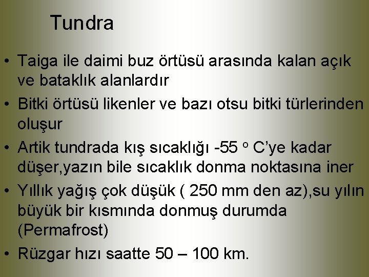 Tundra • Taiga ile daimi buz örtüsü arasında kalan açık ve bataklık alanlardır •