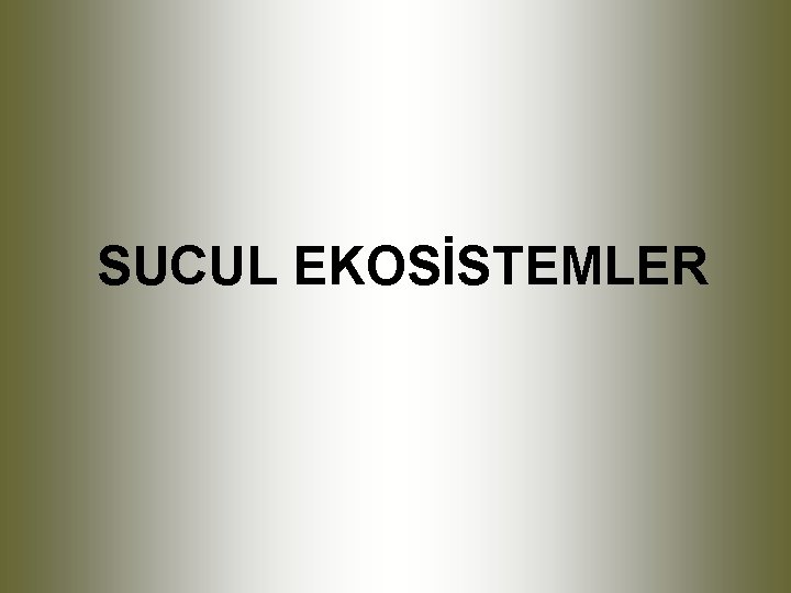 SUCUL EKOSİSTEMLER 