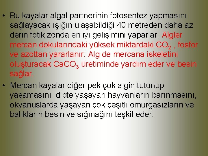  • Bu kayalar algal partnerinin fotosentez yapmasını sağlayacak ışığın ulaşabildiği 40 metreden daha