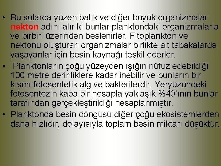  • Bu sularda yüzen balık ve diğer büyük organizmalar nekton adını alır ki