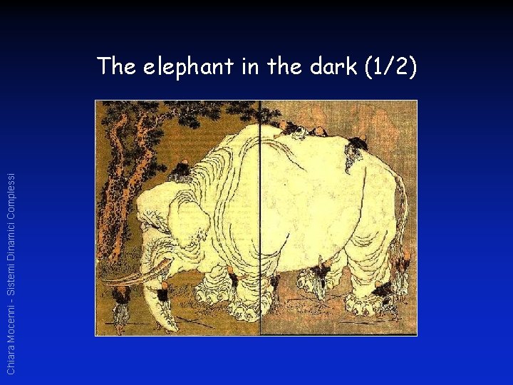 Chiara Mocenni - Sistemi Dinamici Complessi The elephant in the dark (1/2) 