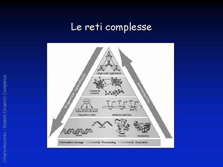 Chiara Mocenni - Sistemi Dinamici Complessi Le reti complesse 