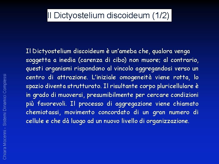 Chiara Mocenni - Sistemi Dinamici Complessi Il Dictyostelium discoideum (1/2) Il Dictyostelium discoideum è