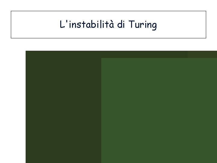 L'instabilità di Turing 