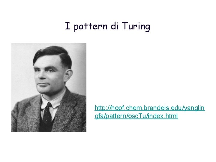 I pattern di Turing http: //hopf. chem. brandeis. edu/yanglin gfa/pattern/osc. Tu/index. html 