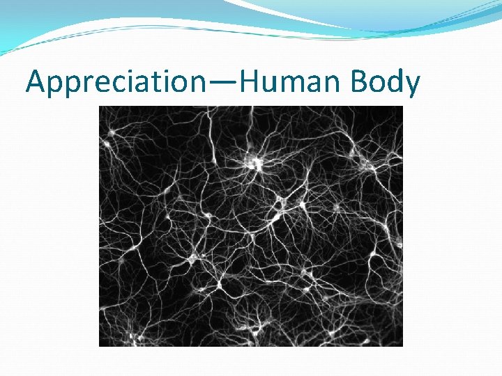 Appreciation—Human Body 