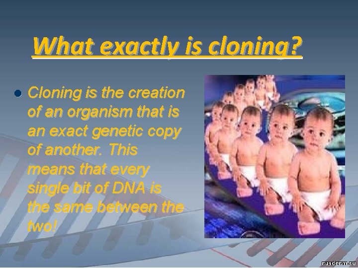 What exactly is cloning? l Cloning is the creation of an organism that is