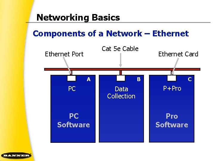 Networking Basics Components of a Network – Ethernet Cat 5 e Cable Ethernet Port