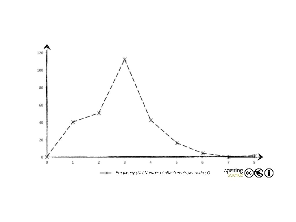 Frequency (X) / Number of attachments per node (Y) Frequency (X) / Number of attachments per node (Y)