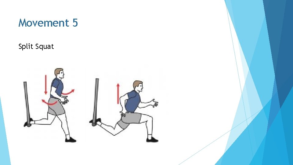 Movement 5 Split Squat 