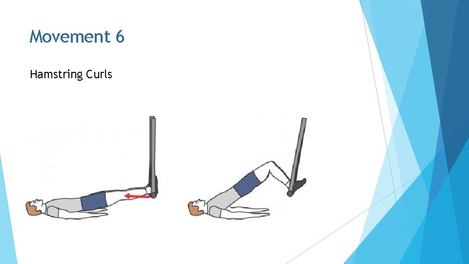 Movement 6 Hamstring Curls 