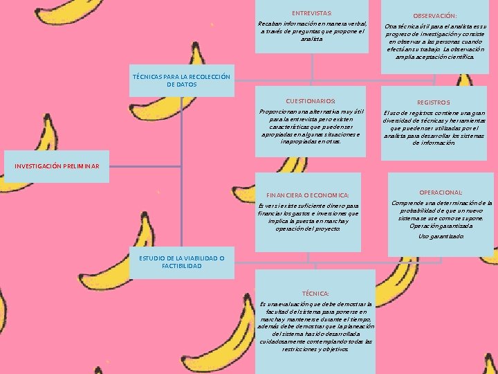ENTREVISTAS: OBSERVACIÓN: Recaban información en manera verbal, a través de preguntas que propone el ENTREVISTAS: OBSERVACIÓN: Recaban información en manera verbal, a través de preguntas que propone el