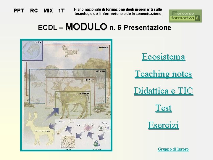 PPT RC MIX 1 T Piano nazionale di formazione degli insegnanti sulle tecnologie dell‘informazione