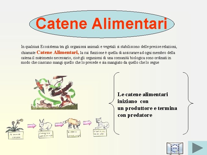 Catene Alimentari In qualsiasi Ecosistema tra gli organismi animali e vegetali si stabiliscono delle