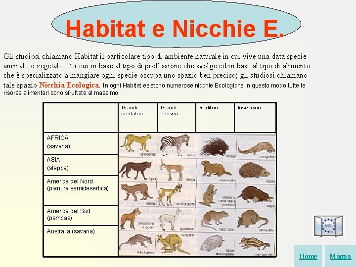 Habitat e Nicchie E. Gli studiosi chiamano Habitat il particolare tipo di ambiente naturale