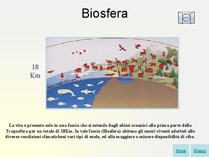 Biosfera 18 Km La vita è presente solo in una fascia che si estende