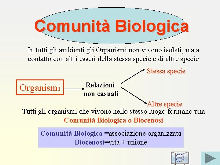 Comunità Biologica In tutti gli ambienti gli Organismi non vivono isolati, ma a contatto