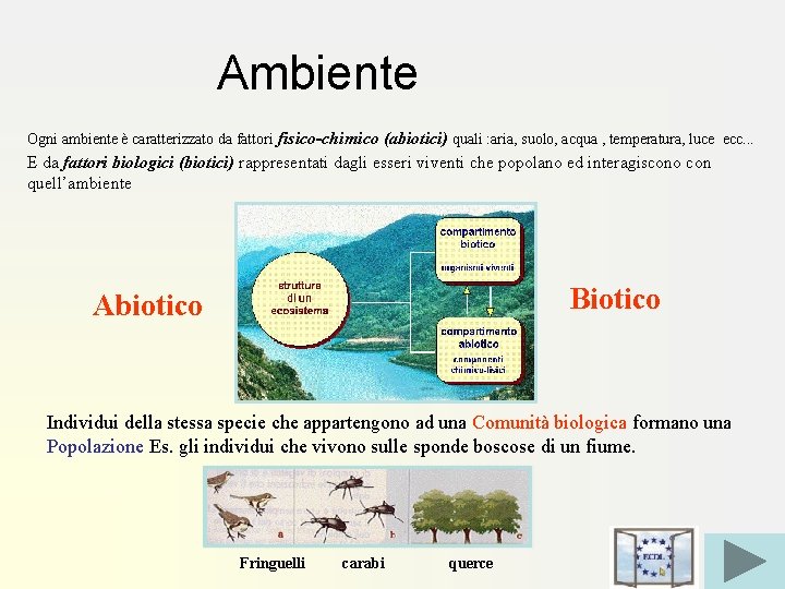 Ambiente Ogni ambiente è caratterizzato da fattori fisico-chimico (abiotici) quali : aria, suolo, acqua