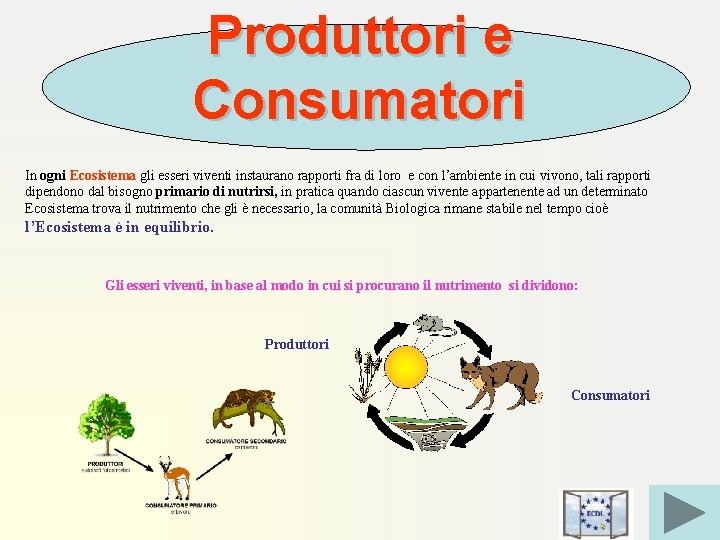 Produttori e Consumatori In ogni Ecosistema gli esseri viventi instaurano rapporti fra di loro
