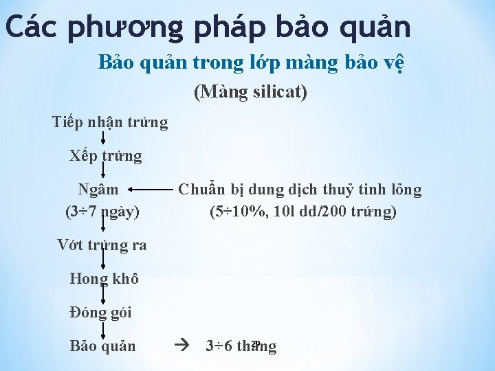 Các phương pháp bảo quản Bảo quản trong lớp màng bảo vệ (Màng silicat)