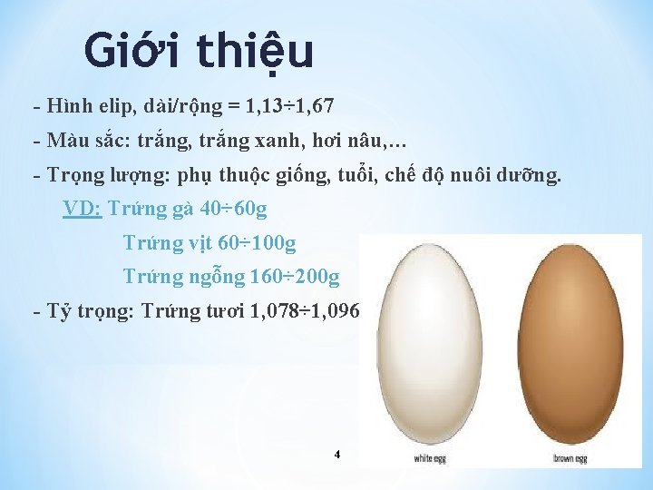 Giới thiệu - Hình elip, dài/rộng = 1, 13÷ 1, 67 - Màu sắc: