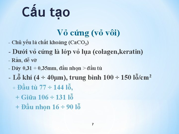 Cấu tạo Vỏ cứng (vỏ vôi) - Chủ yếu là chất khoáng (Ca. CO