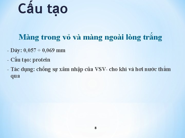 Cấu tạo Màng trong vỏ và màng ngoài lòng trắng - Dày: 0, 057