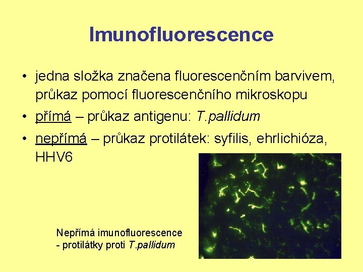 Imunofluorescence • jedna složka značena fluorescenčním barvivem, průkaz pomocí fluorescenčního mikroskopu • přímá –