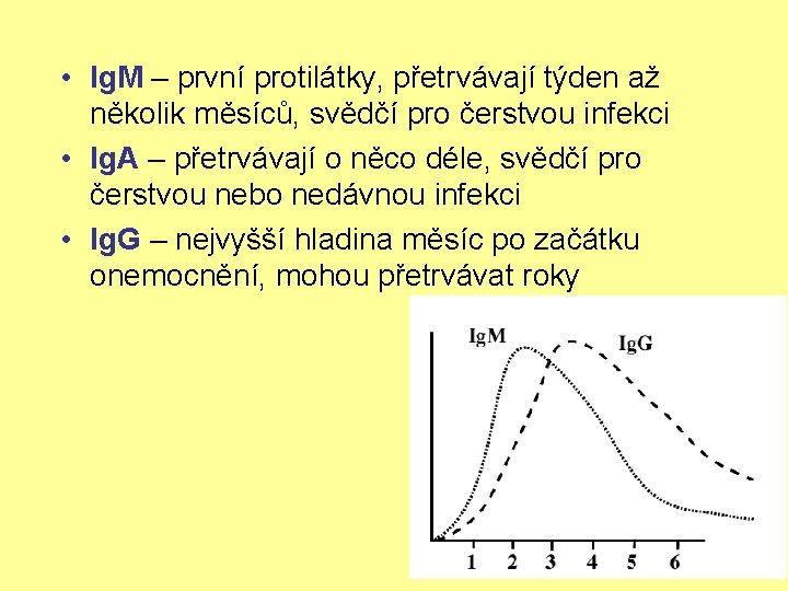  • Ig. M – první protilátky, přetrvávají týden až několik měsíců, svědčí pro