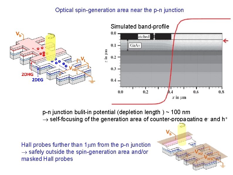 Optical spin-generation area near the p-n junction Simulated band-profile p-n junction bulit-in potential (depletion
