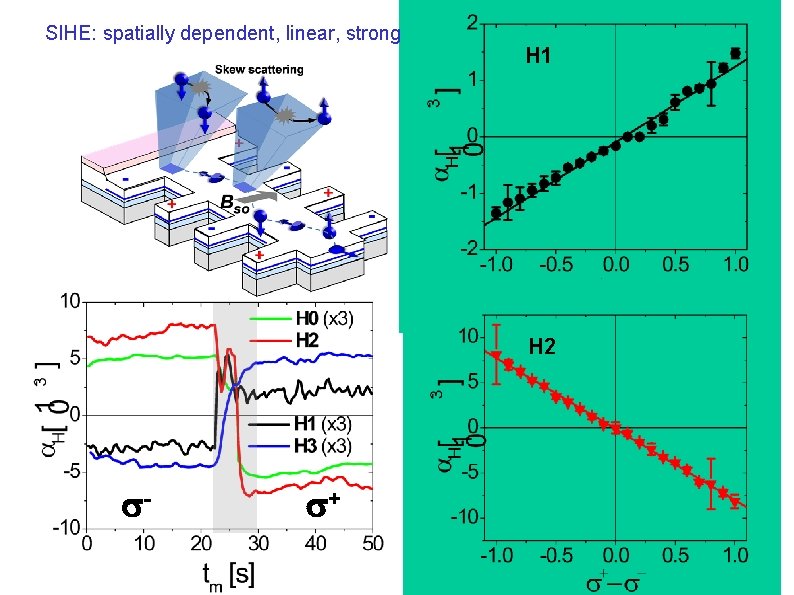 SIHE: spatially dependent, linear, strong H 1 H 2 - + 