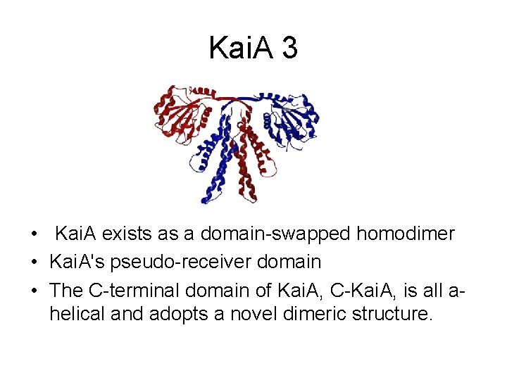 Kai. A 3 • Kai. A exists as a domain-swapped homodimer • Kai. A's