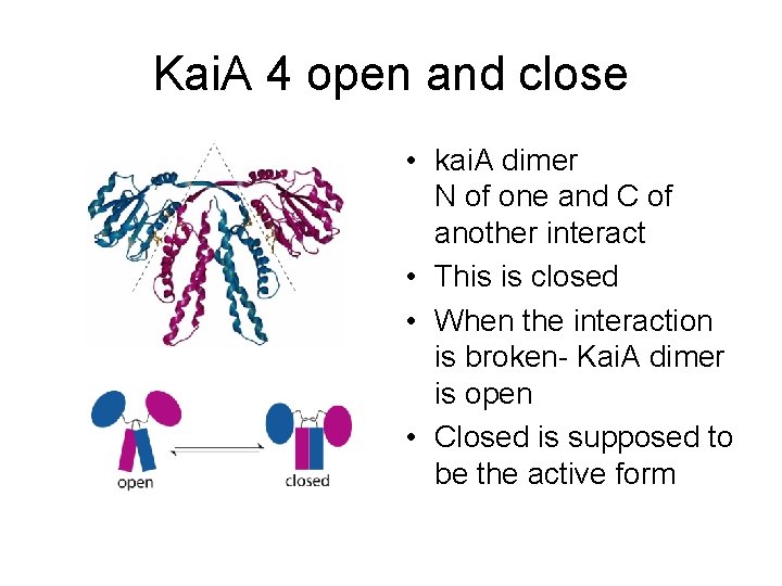 Kai. A 4 open and close • kai. A dimer N of one and