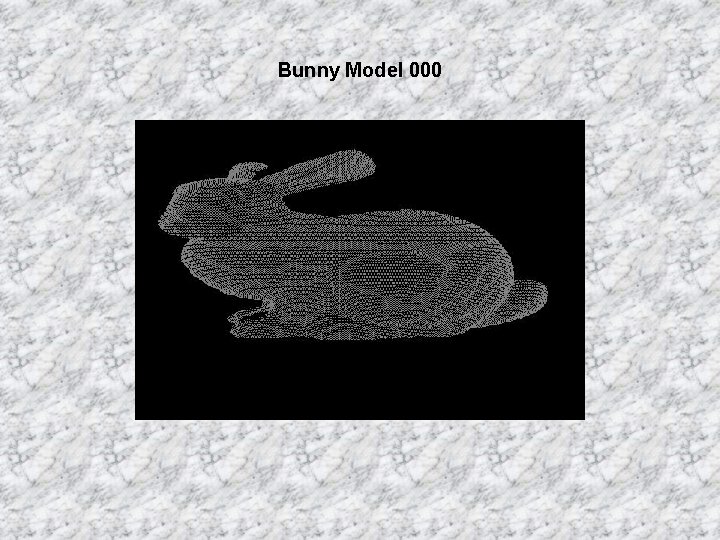 Bunny Model 000 