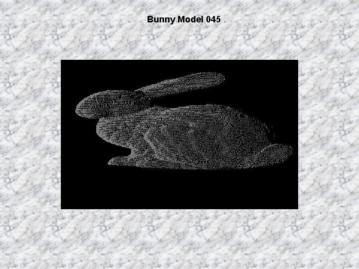 Bunny Model 045 