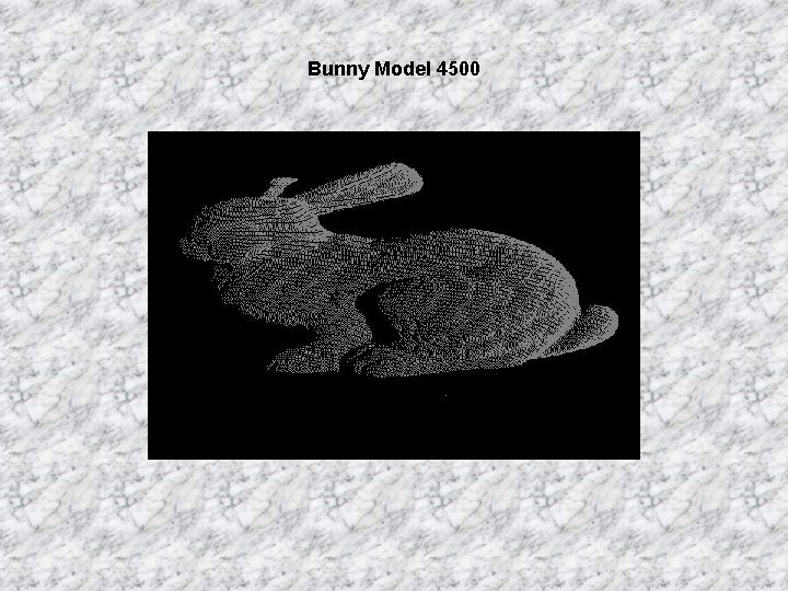 Bunny Model 4500 