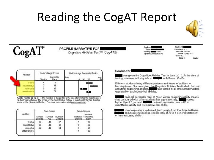 Reading the Cog. AT Report 